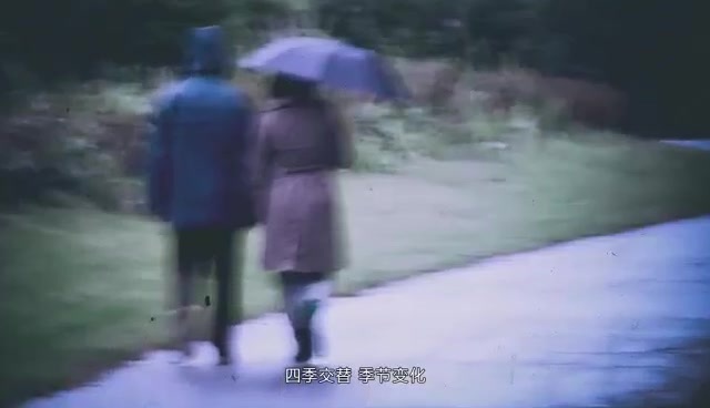 3.風(fēng)濕病科樣片.mp4